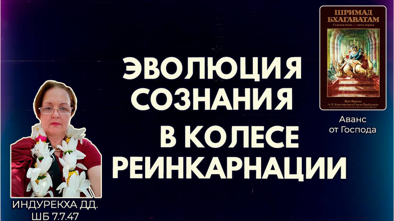 Эволюция сознания в колесе реинкарнации. Индурекха дд. ШБ 7.7.47
