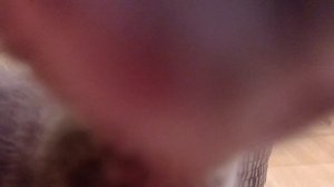 Котализатор #2