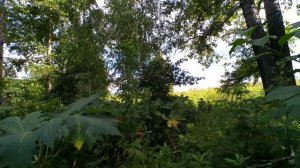 Тетрадь памяти.