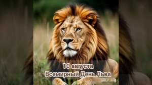 10 августа - Всемирный день Льва