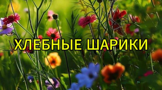 Хлебные шарики смотреть онлайн