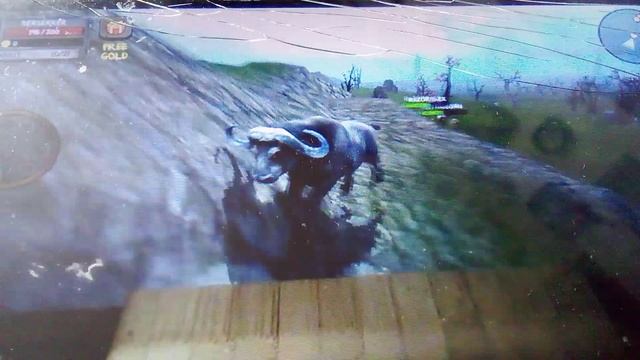 Грозный буйвол убегает от голодных львов. Буйвол снова начал своё нападение в симуляторе буйвола.