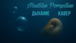 Nautilus Pompilius - Дыхание | кавер | Совместно с  @NikiforrMusic