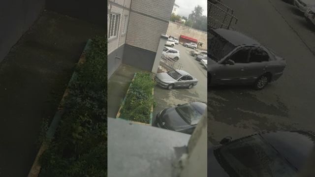 миньёны смотреть онлайн