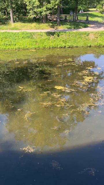 copy_DC3B2C1C-B44F-4E2B-8CDB-1846AED94DD9 смотреть онлайн