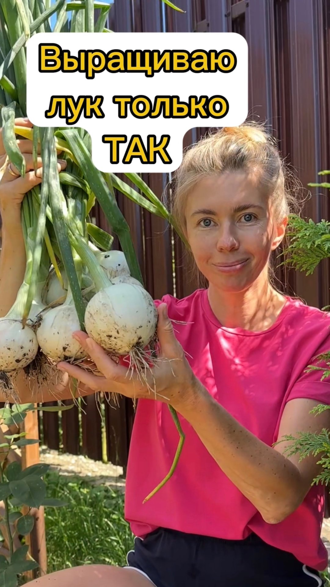 Отличный урожай лука каждый год. Выращиваю крупный лук из семян за один сезон смотреть онлайн