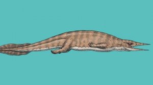 Что Мы Знаем об этих Чудовищах?