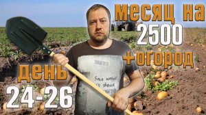 Месяц 2500 рублей на еду + огород. День 24-26.