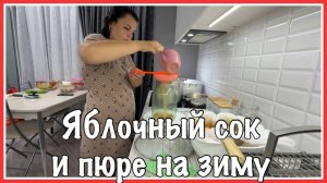 как ЗАГОТАВЛИВАЕМ ЯБЛОЧНЫЙ сок на ЗИМУ и пюре из ГРУШ//как ХРАНЮ СУХОФРУКТЫ