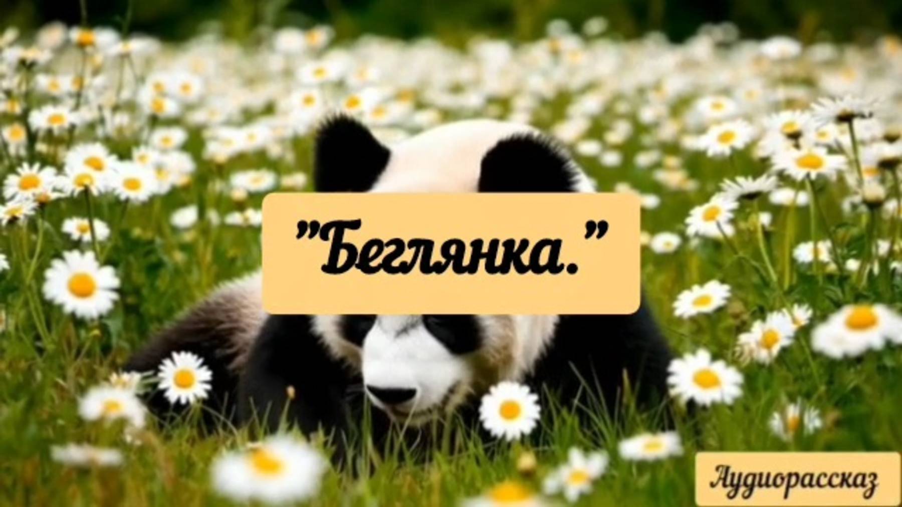 Про собаку, которая не просто так потерялась.