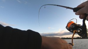 Рыбалка на микроджиг. Ловим на Norstream Nibble 2