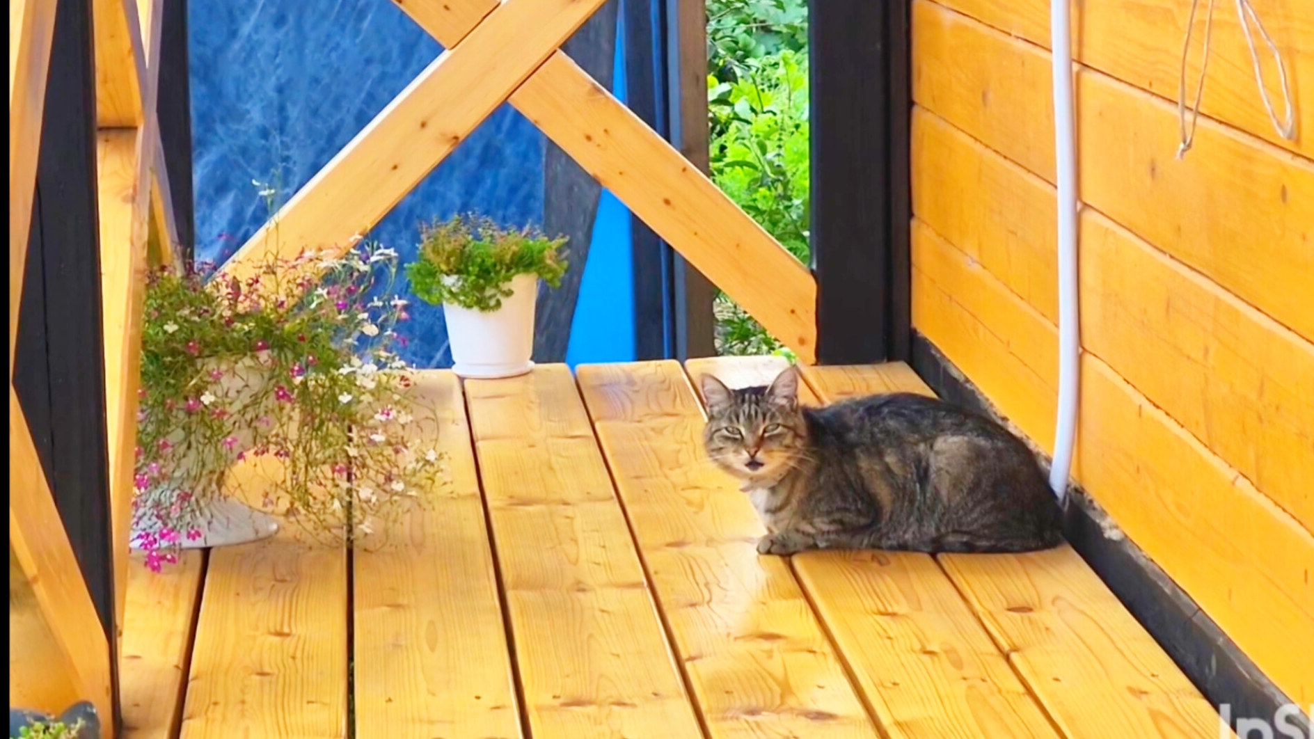 Деревня смотреть онлайн