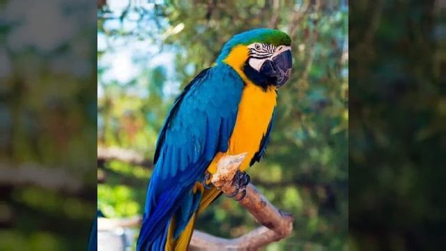 Это интересно-54