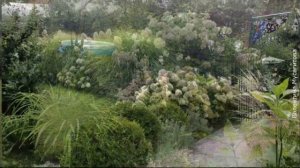 Садовые композиции с гортензиями.Как посадить гортензию.🌸