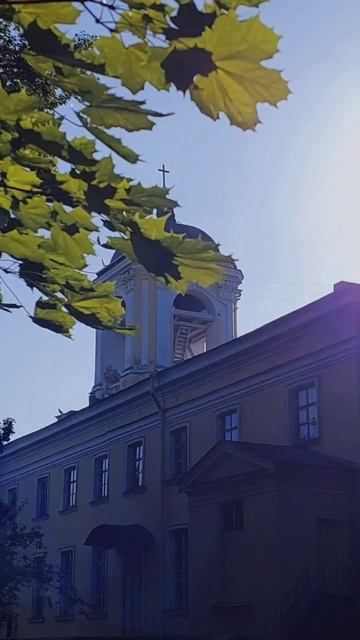 Выборг 06.08.2025