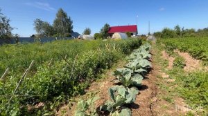 Деревенский огород