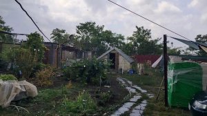 Наша весёлая жизнь. Жизнь на пенсии.