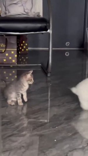 Когда привел с собой друзей