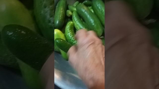 решили,чуточку заготовок свежих сделать. смотреть онлайн