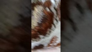 привет зайди на трансляцию