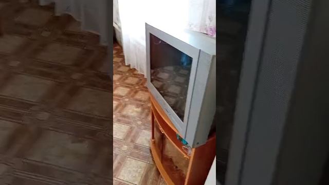 Видео дом смотреть онлайн