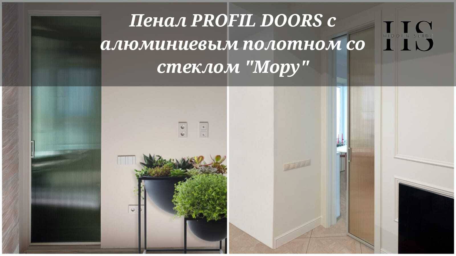 Пенал PROFIL DOORS c алюминиевым полотном 1AG и стеклом 