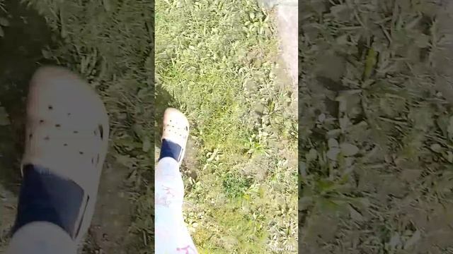 ПОБЕГ ИЗ ТЮРЬМЫ(2ЧАСТЬ) смотреть онлайн