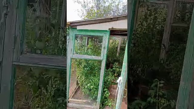 Видео дома улица смотреть онлайн