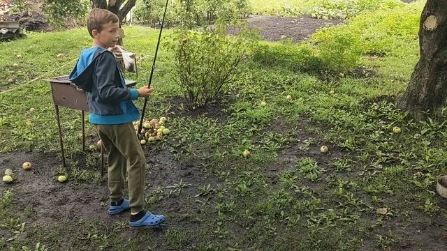 1000117074.mp4 смотреть онлайн