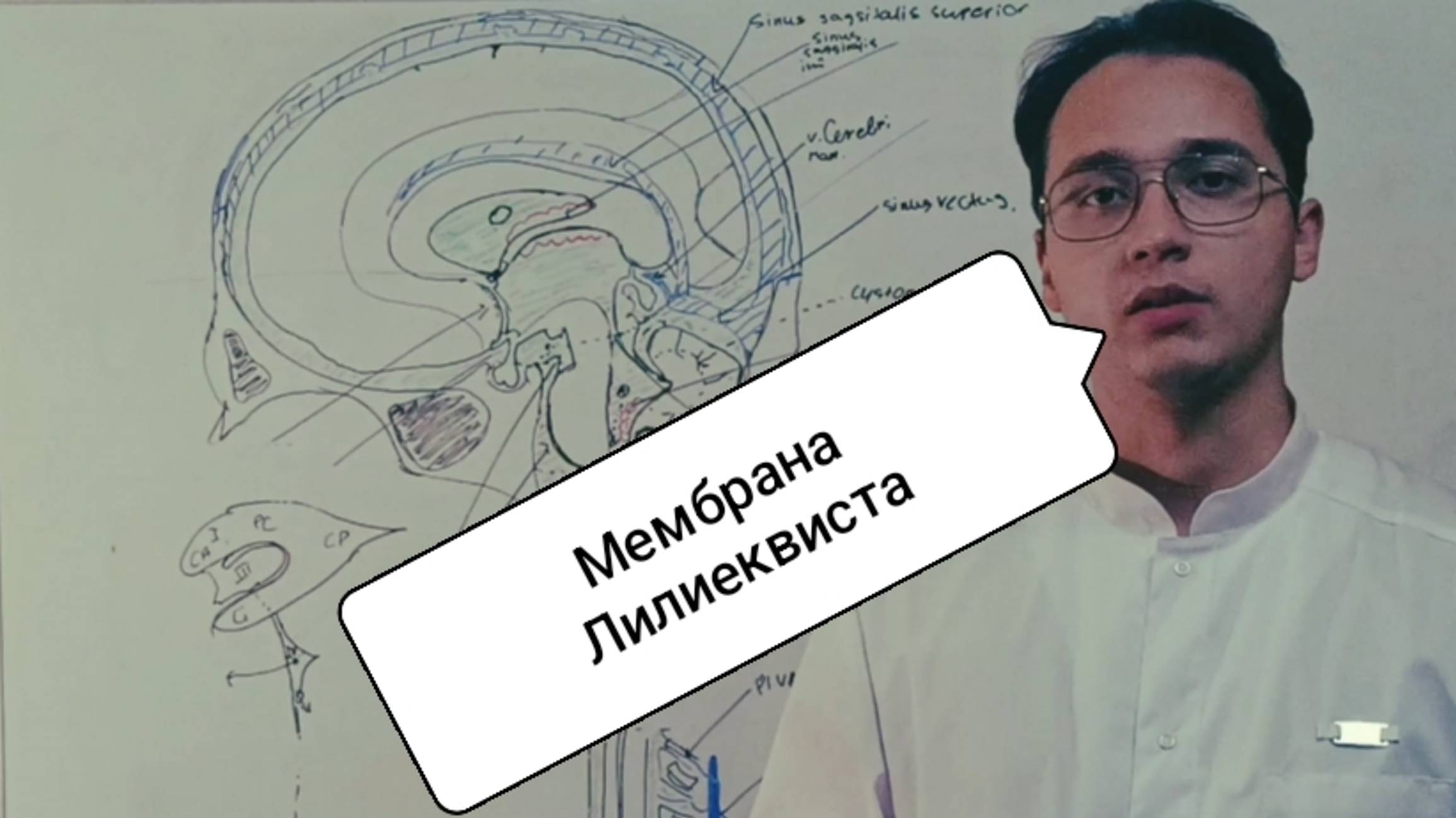 ЛИКВОРОДИНАМИКА. Субарахноидальное пространство. Желудочки мозга.Отверстие Монро, Люшка, Мажанди.
