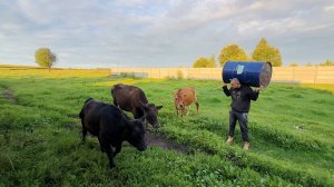 Проделали большую работу по перестройке старого дома. Ремонт продолжается. Жизнь в деревне.