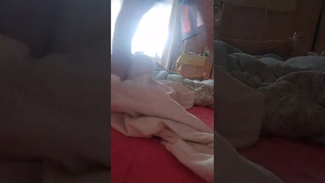 ь смотреть онлайн