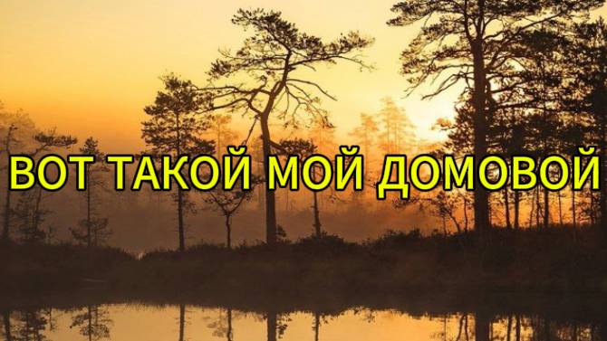 Вот такой мой домовой смотреть онлайн