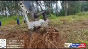 Чудовища могут сломать деревья за считанные секунды, а куканы — это корчеватели.