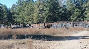 Благодарю свой род.