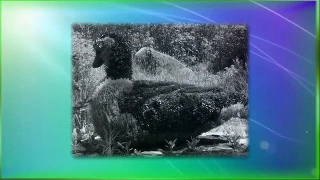 Красивый ландшафт Ландшафтный дизайн участка