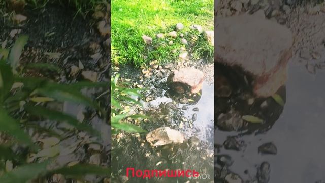 Прогулка на Ангарских прудах