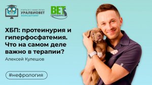 ХБП: протеинурия и гиперфосфатемия. Что на самом деле важно в терапии, лектор Алексей Кулешов