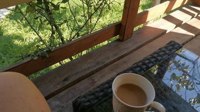 СОЧИ ГОРНОЕ ЛОО ДЕНЬ 10.08.2025 смотреть онлайн