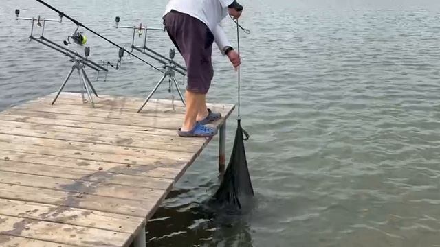 ПОЙМАЛ ОТПУСТИЛ: БЕРЁЗОВЫЙ БЕРЕГ🎣 смотреть онлайн