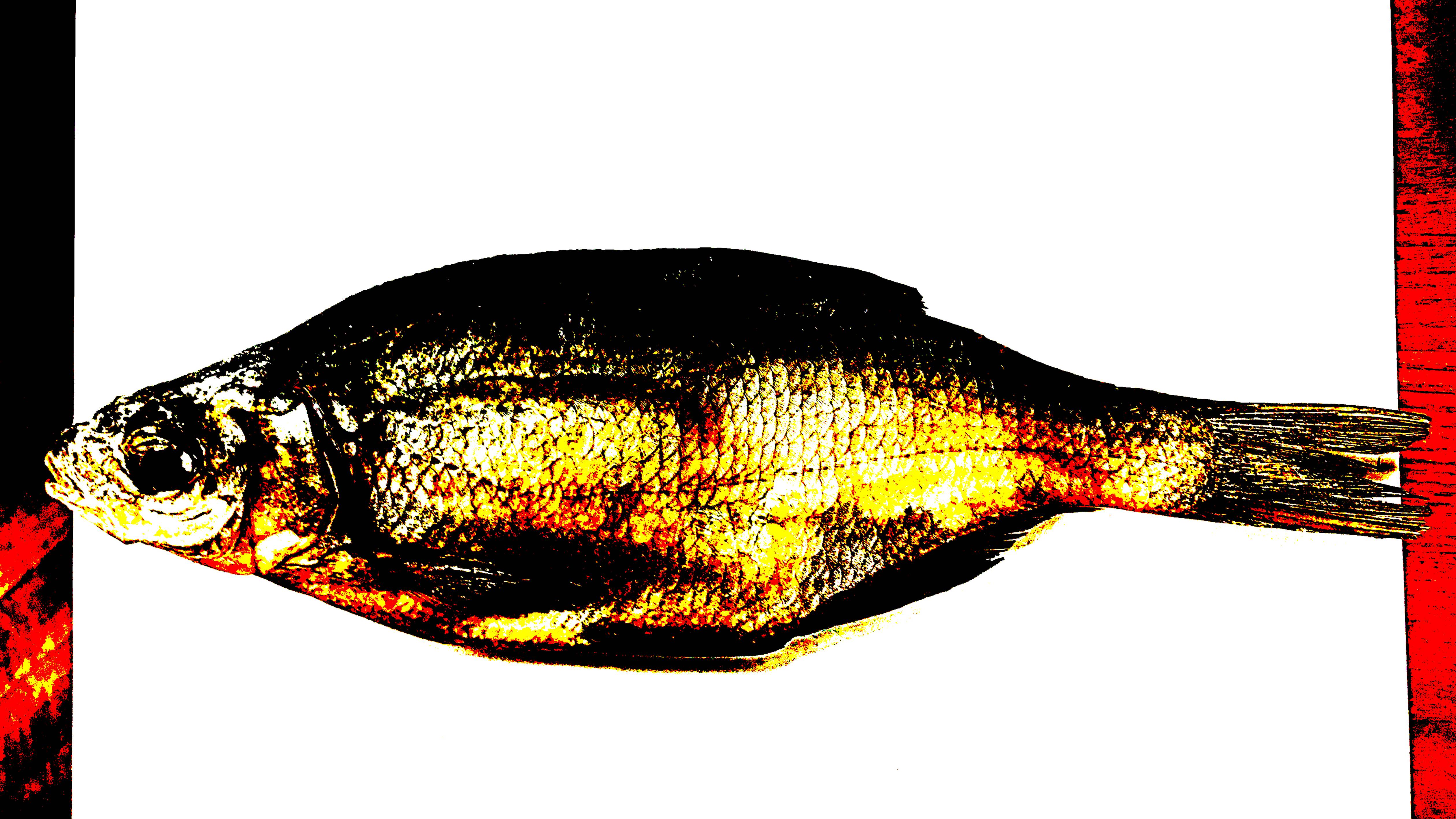 Рыбалка. Закрытие Сезона.