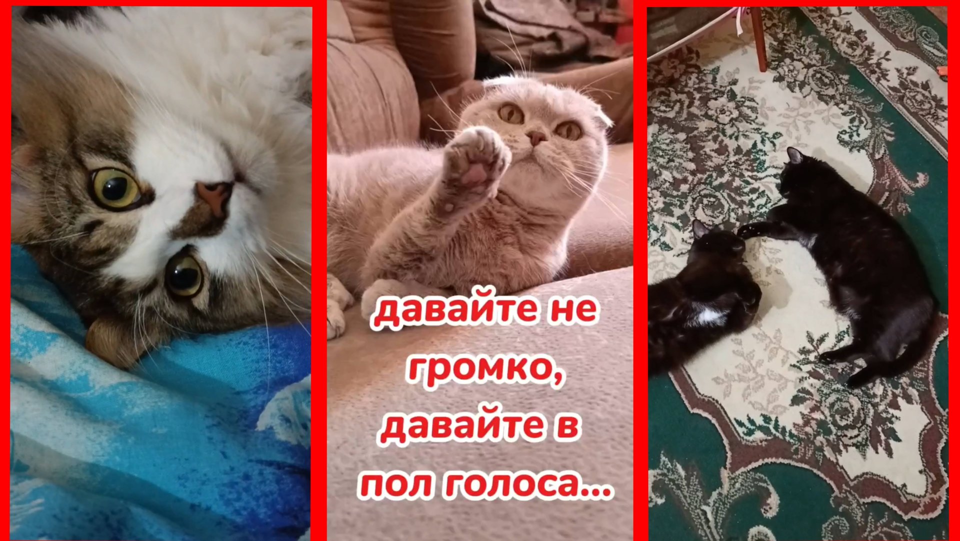 Красивая песня ДАВАЙТЕ НЕ ГРОМКО , ДАВАЙТЕ В ПОЛ ГОЛОСА ... " из фильма "Обыкновенное чудо" смотреть онлайн