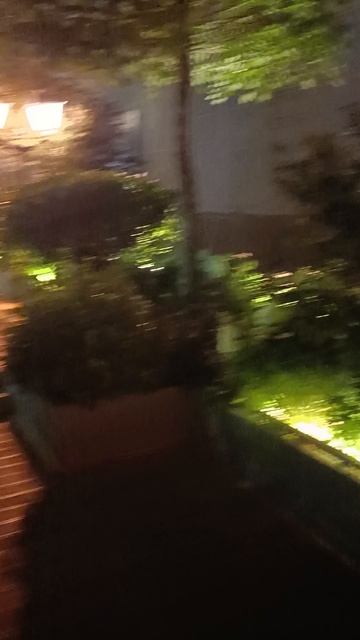 Новая Станция