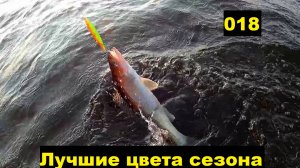 Лучшие троллинговые цвета по судаку. 018.