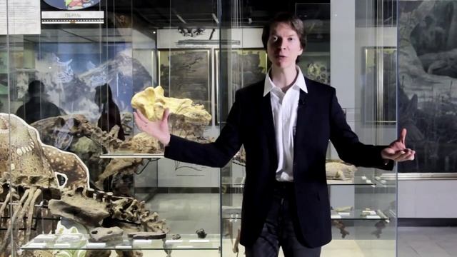 Смертельные битвы Мезозойской Эры - Ярослав Попов смотреть онлайн