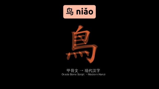 Птица 鸟 смотреть онлайн