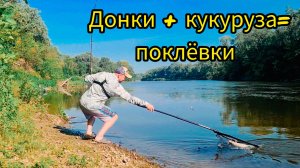 Ловля под корягой = ТОЛЬКО КРУПНАЯ РЫБА! Неожиданный результат!