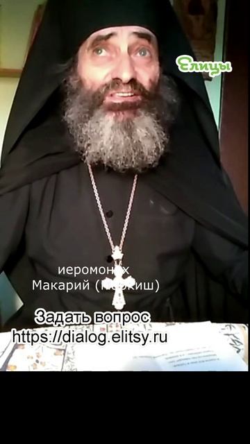 Порок любезен. Почему - Иеромонах Макарий (Маркиш) #shorts смотреть онлайн