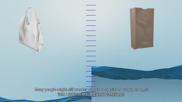 Using Biodegradable Paper Bags And Contribute To A Safer Environment - Oyang Group