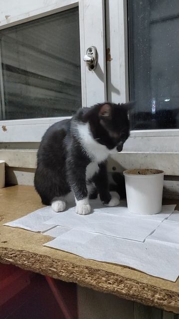 Ой как вкусно было, но мало) .mp4